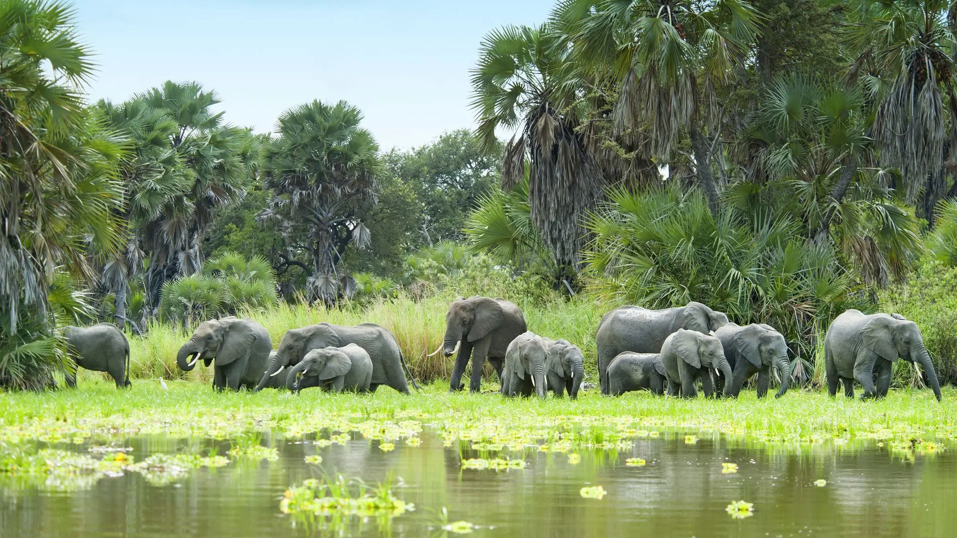 Selous Park two-day collection photo 1